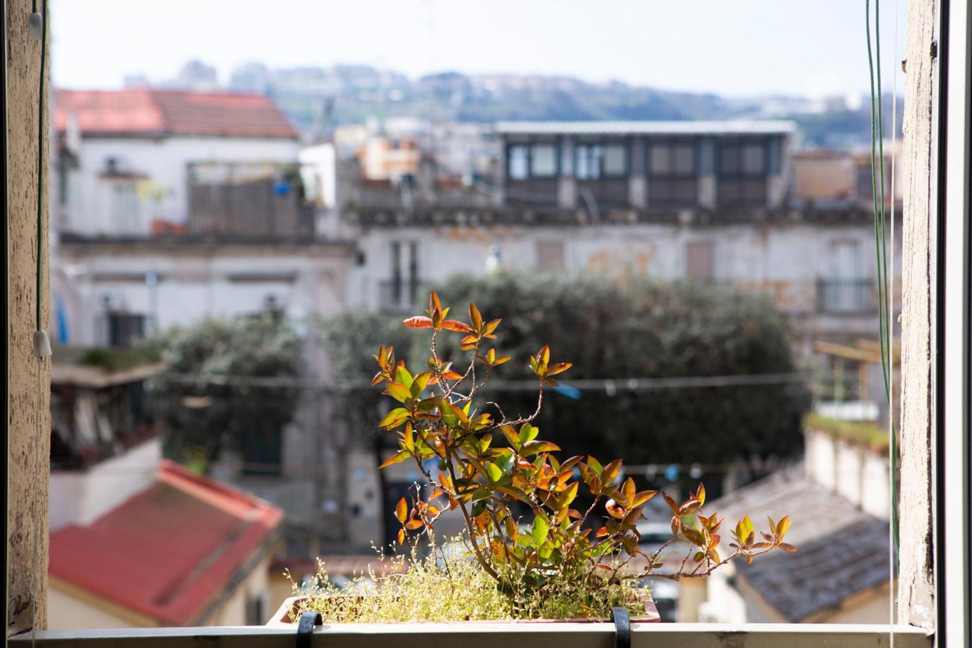 Bnb Etnuvio, Double Rooms In Νάπολη Εξωτερικό φωτογραφία